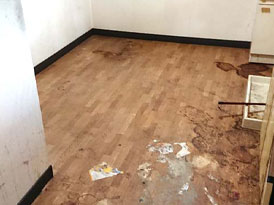 アパートでの特殊清掃作業実績